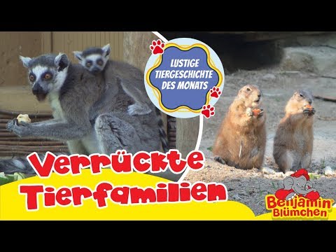 Benjamin Blümchen - lustige Tiergeschichte des Monats | verrückte Tierfamilien